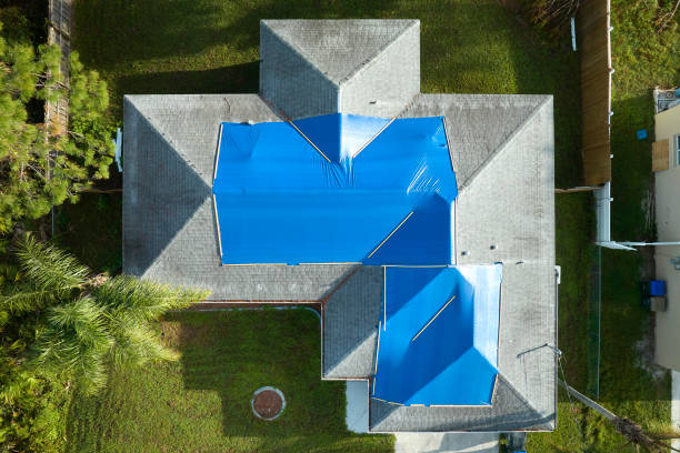 Best Roof Maintenance and Cleaning  in Tyler, TX
