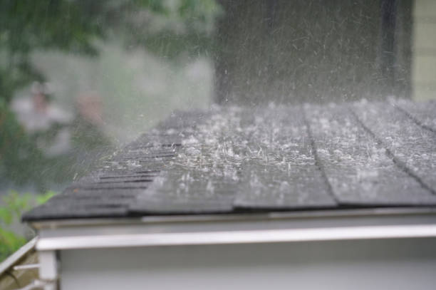 Best Roof Insulation Installation  in Tyler, TX