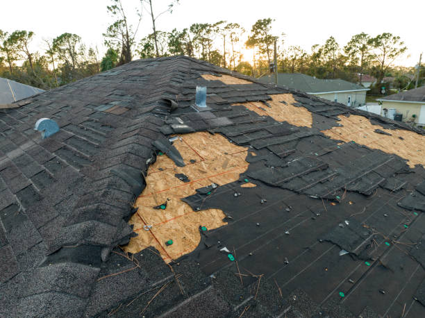 Best Roof Coating and Sealing  in Tyler, TX